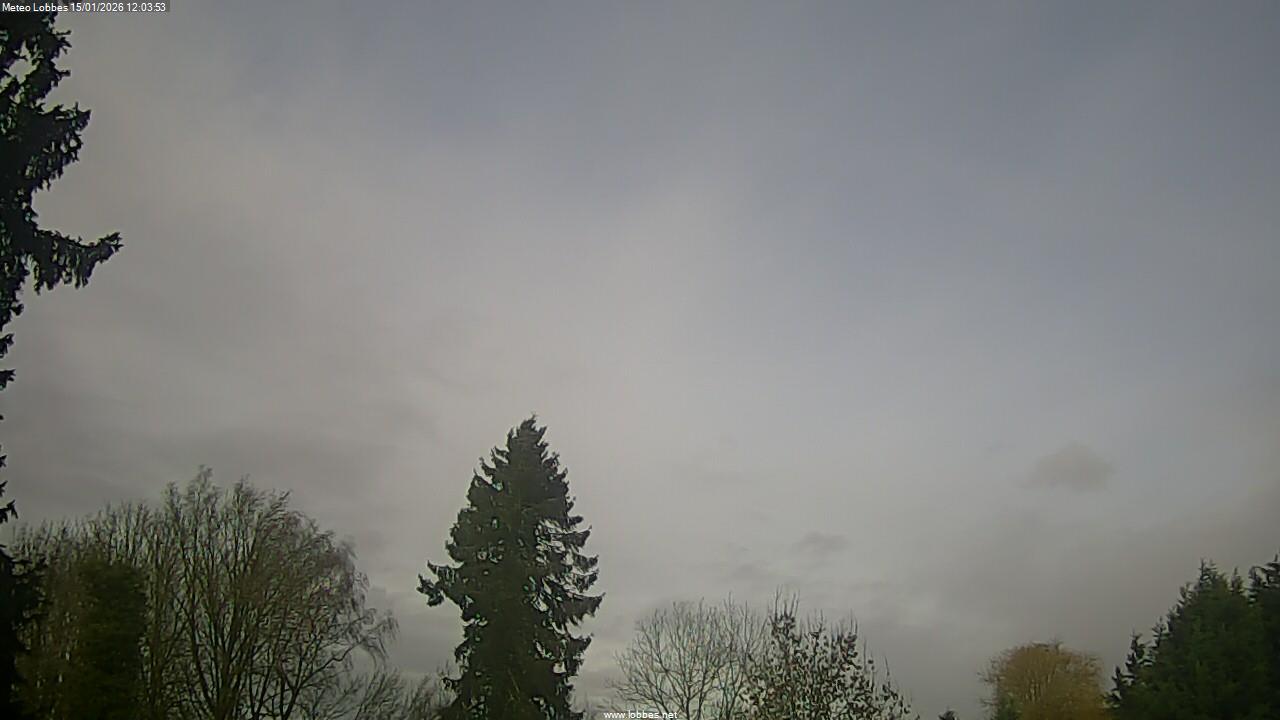 M&eacute;t&eacute;o Lobbes webcam 2026-01-15