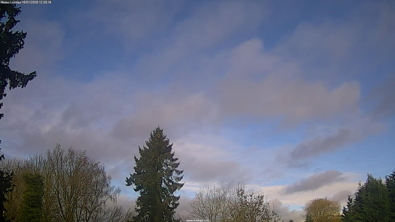 M&eacute;t&eacute;o Lobbes webcam 2026-01-16