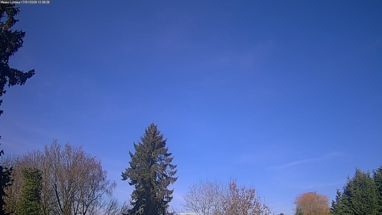 M&eacute;t&eacute;o Lobbes webcam 2026-01-17