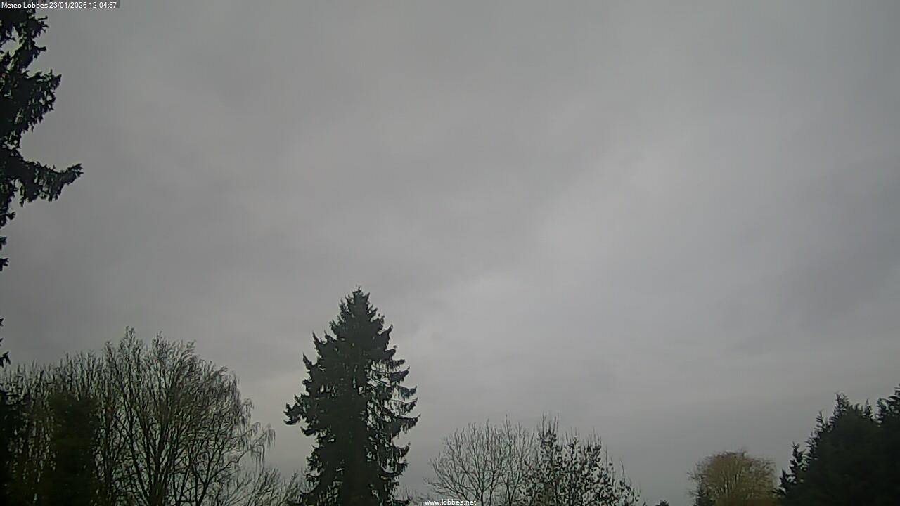 M&eacute;t&eacute;o Lobbes webcam 2026-01-23
