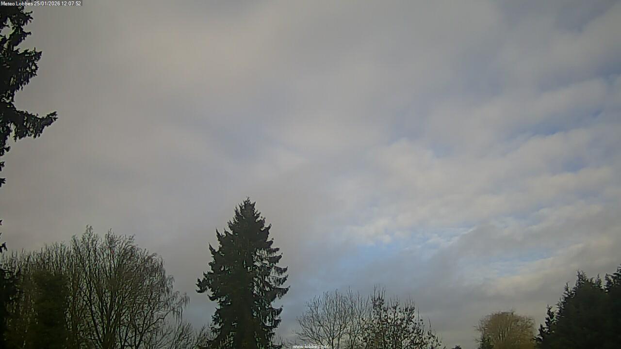 M&eacute;t&eacute;o Lobbes webcam 2026-01-25