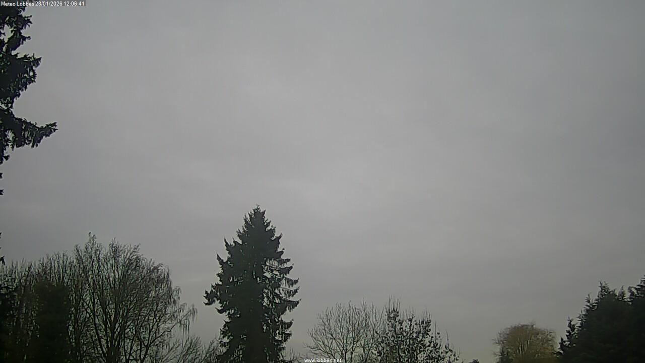 M&eacute;t&eacute;o Lobbes webcam 2026-01-28