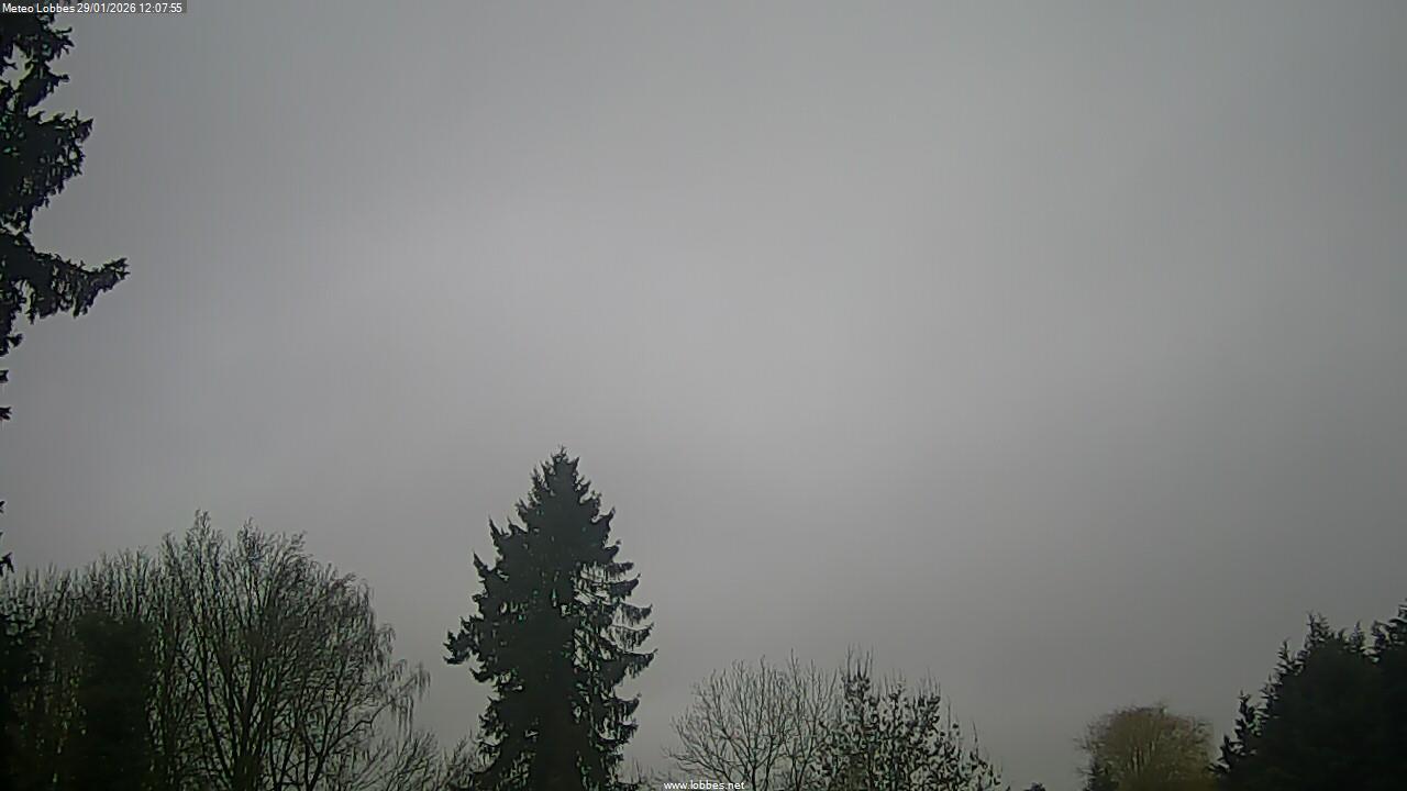 M&eacute;t&eacute;o Lobbes webcam 2026-01-29