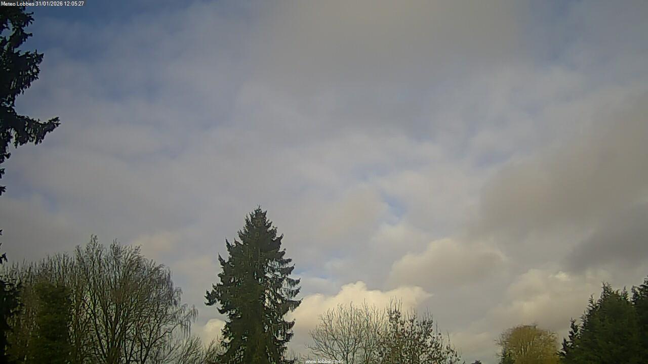 M&eacute;t&eacute;o Lobbes webcam 2026-01-31