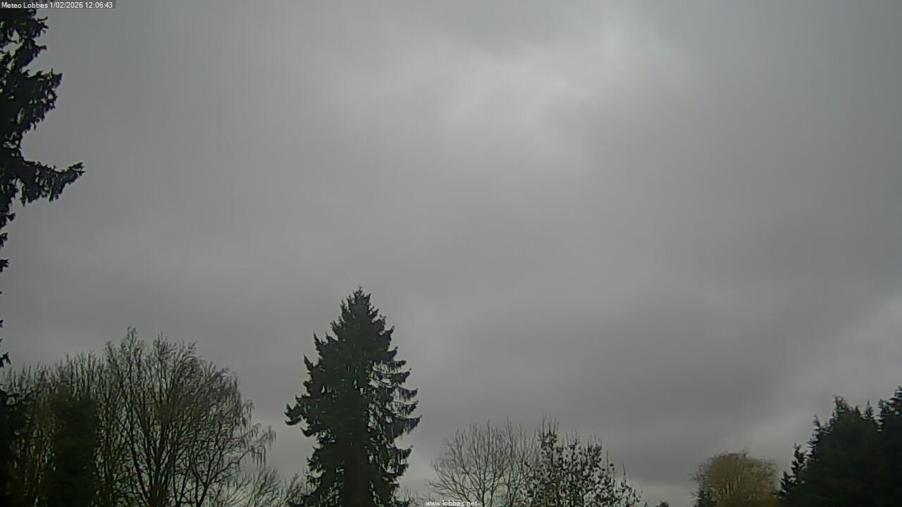 M&eacute;t&eacute;o Lobbes webcam 2026-02-01