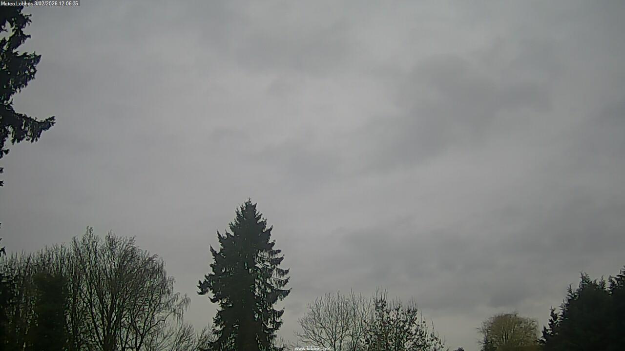 M&eacute;t&eacute;o Lobbes webcam 2026-02-03