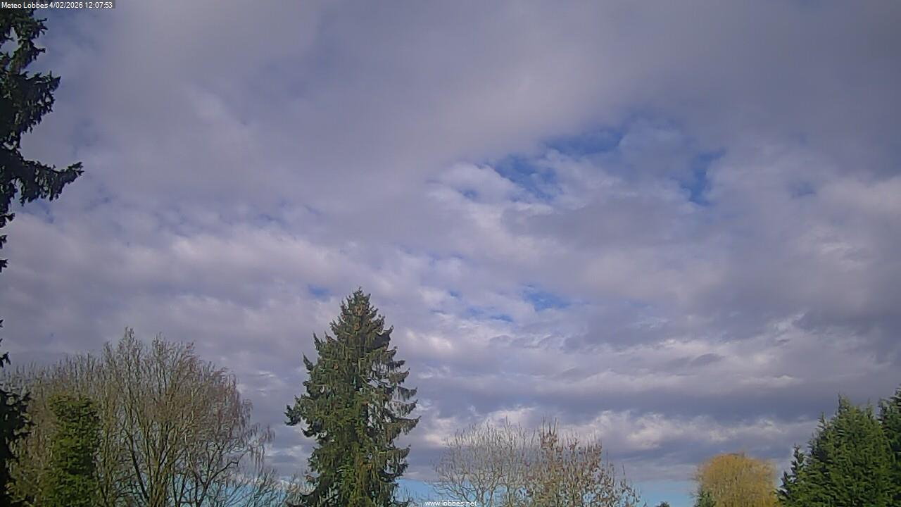 M&eacute;t&eacute;o Lobbes webcam 2026-02-04