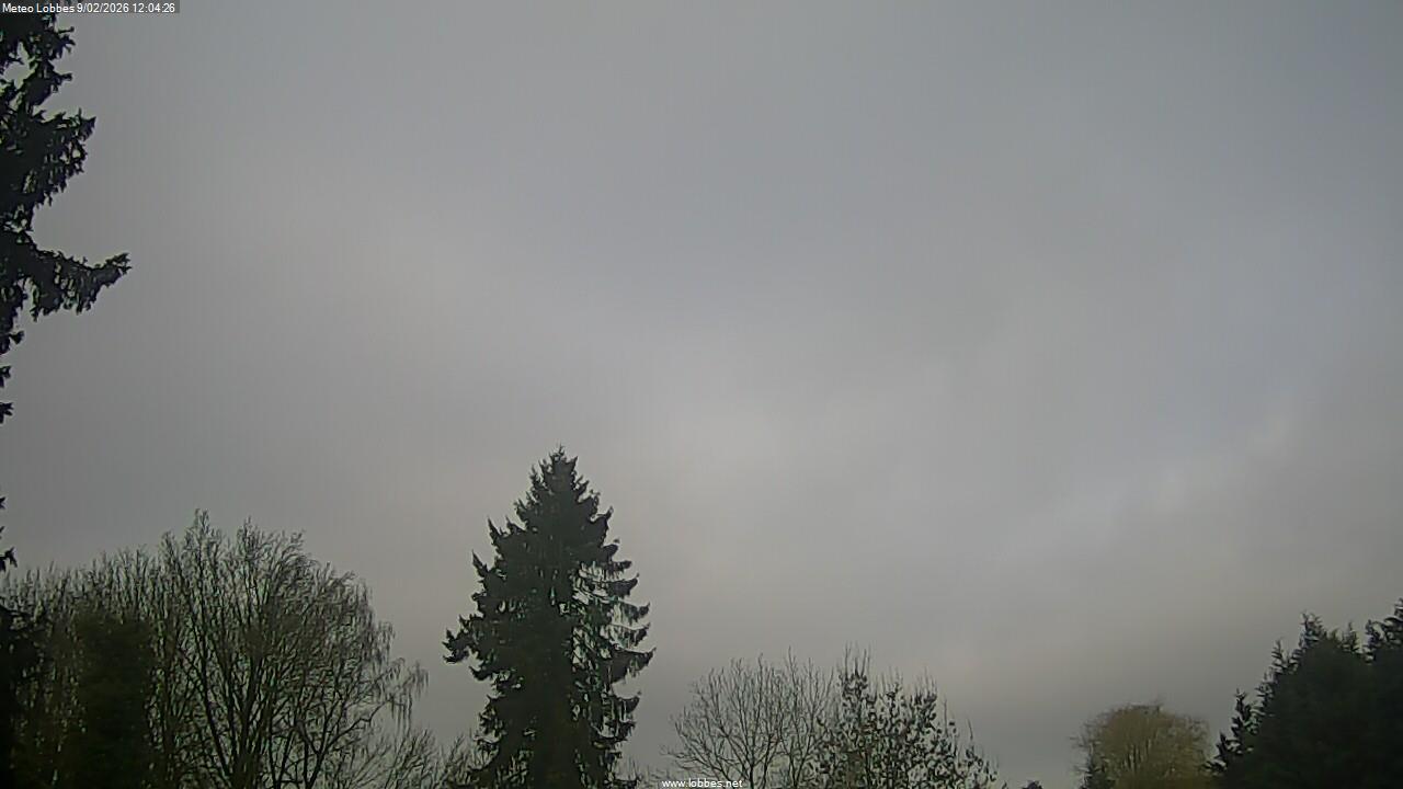 M&eacute;t&eacute;o Lobbes webcam 2026-02-09