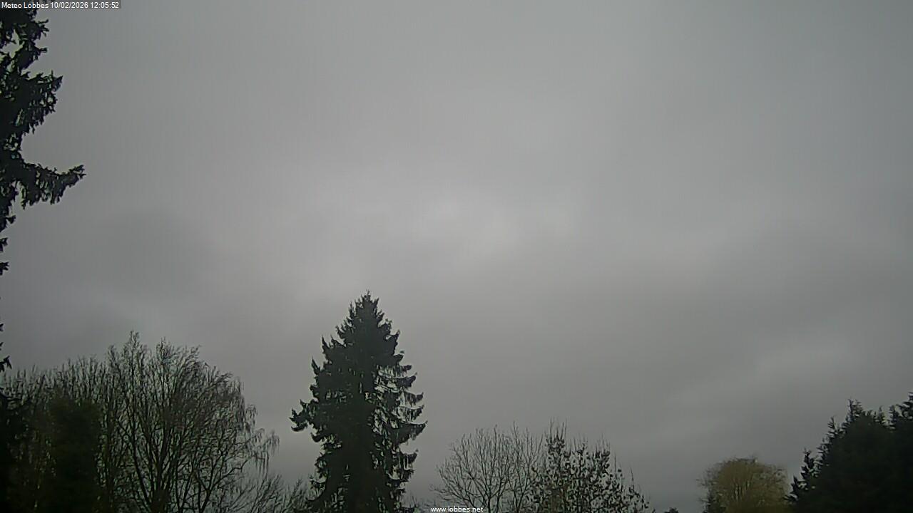 M&eacute;t&eacute;o Lobbes webcam 2026-02-10