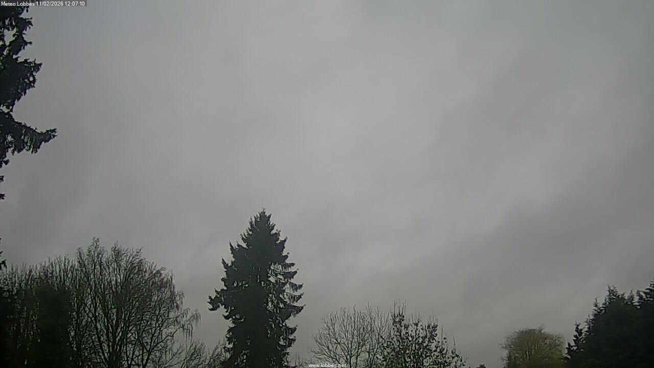 M&eacute;t&eacute;o Lobbes webcam 2026-02-11
