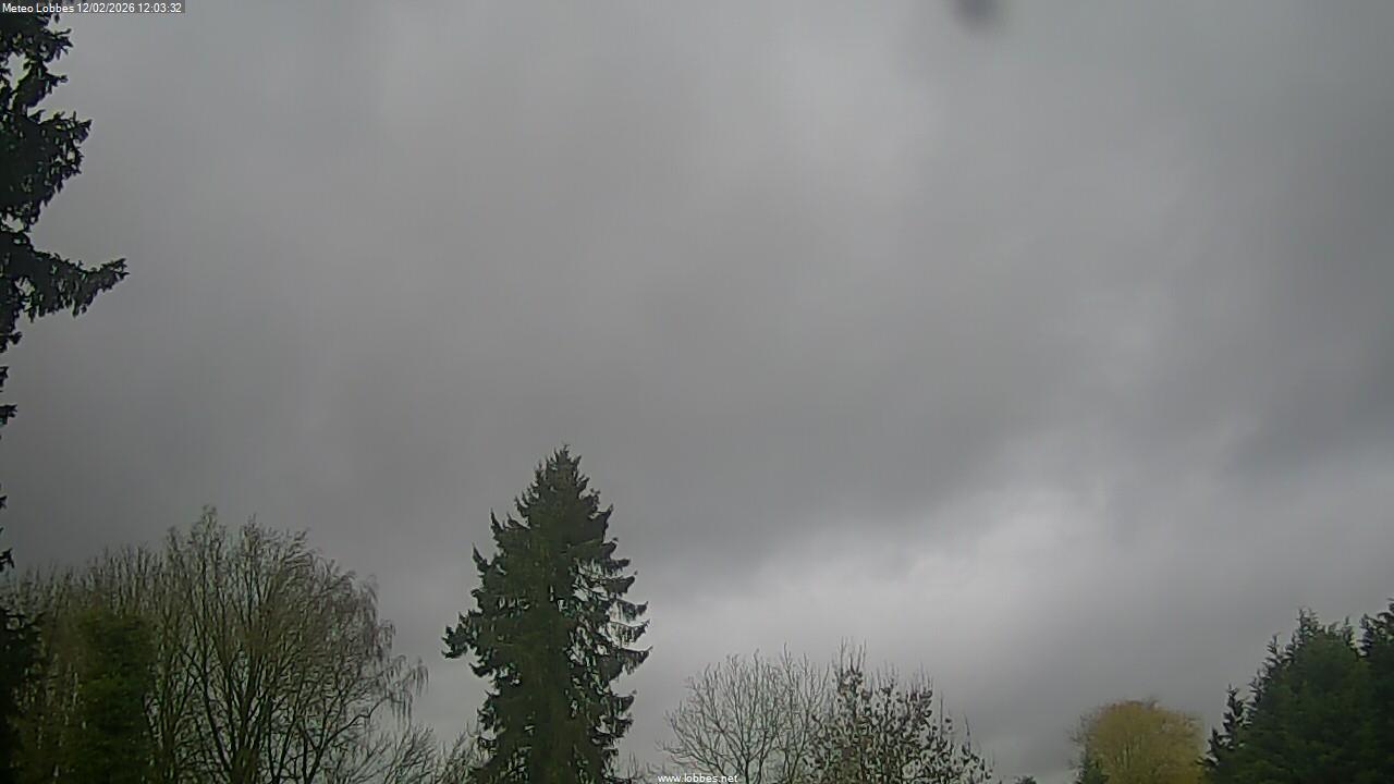 M&eacute;t&eacute;o Lobbes webcam 2026-02-12