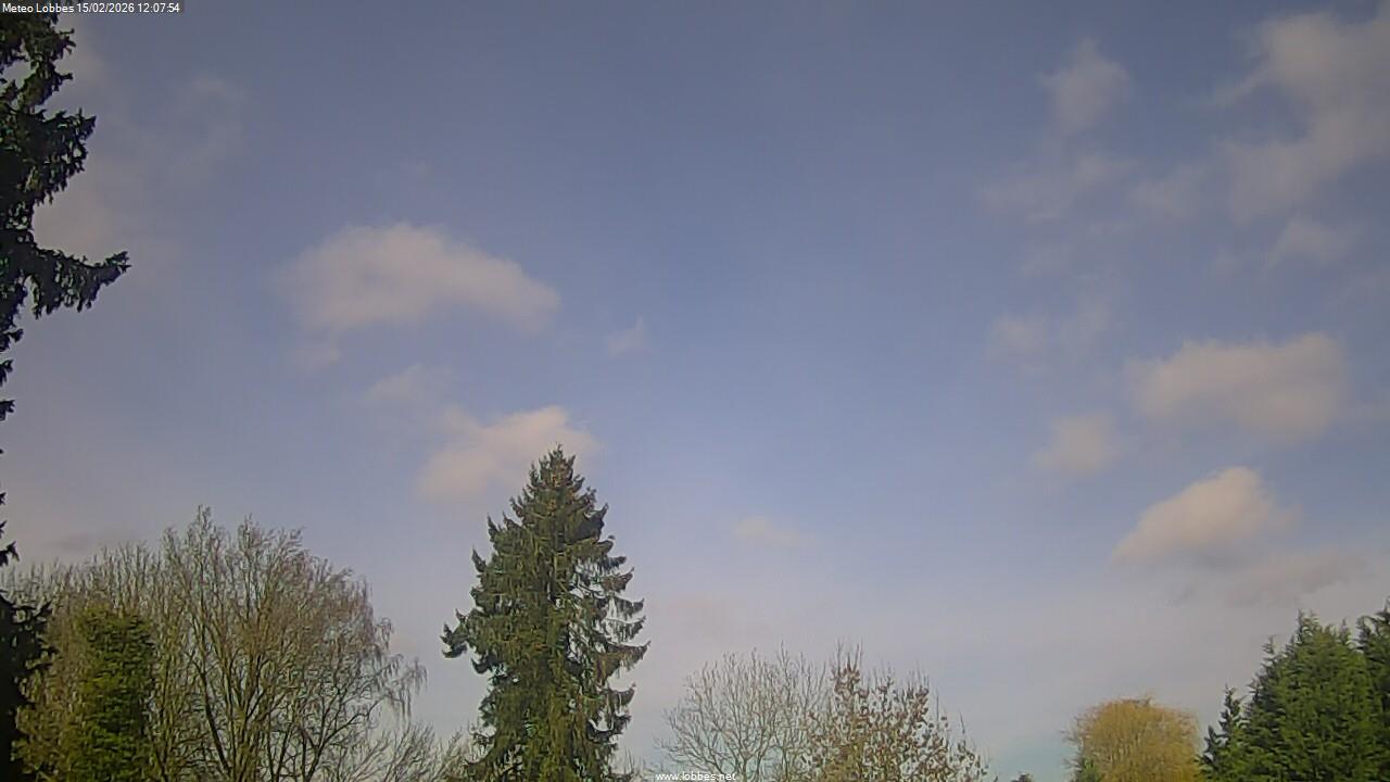 M&eacute;t&eacute;o Lobbes webcam 2026-02-15