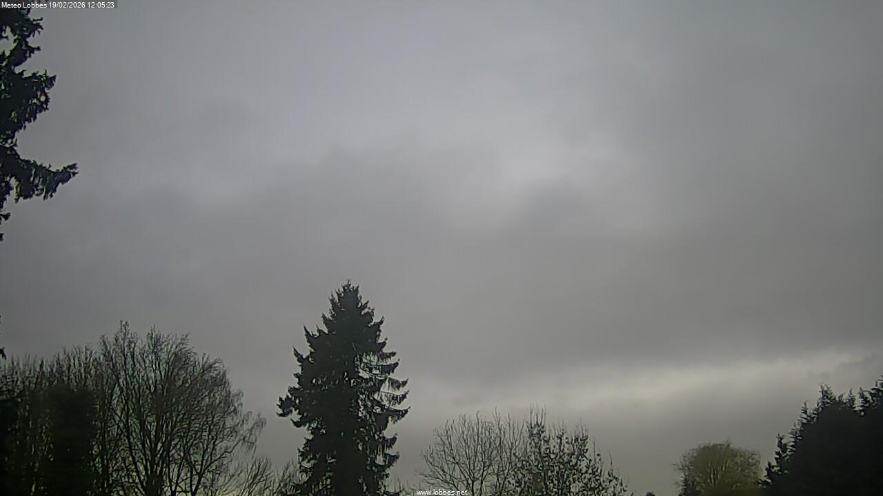M&eacute;t&eacute;o Lobbes webcam 2026-02-19