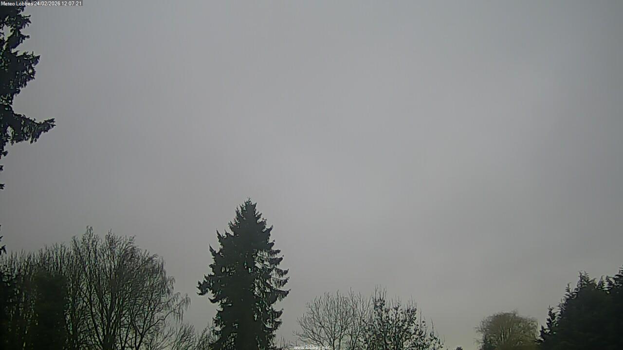 M&eacute;t&eacute;o Lobbes webcam 2026-02-24