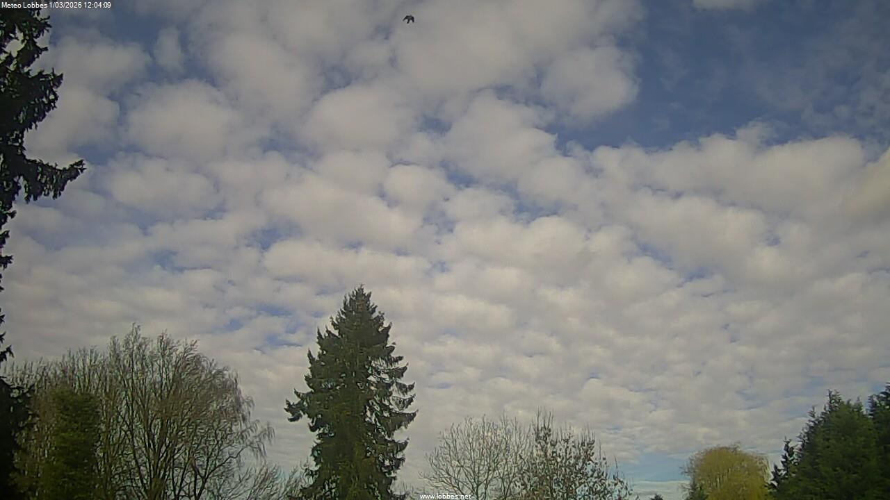 M&eacute;t&eacute;o Lobbes webcam 2026-03-01