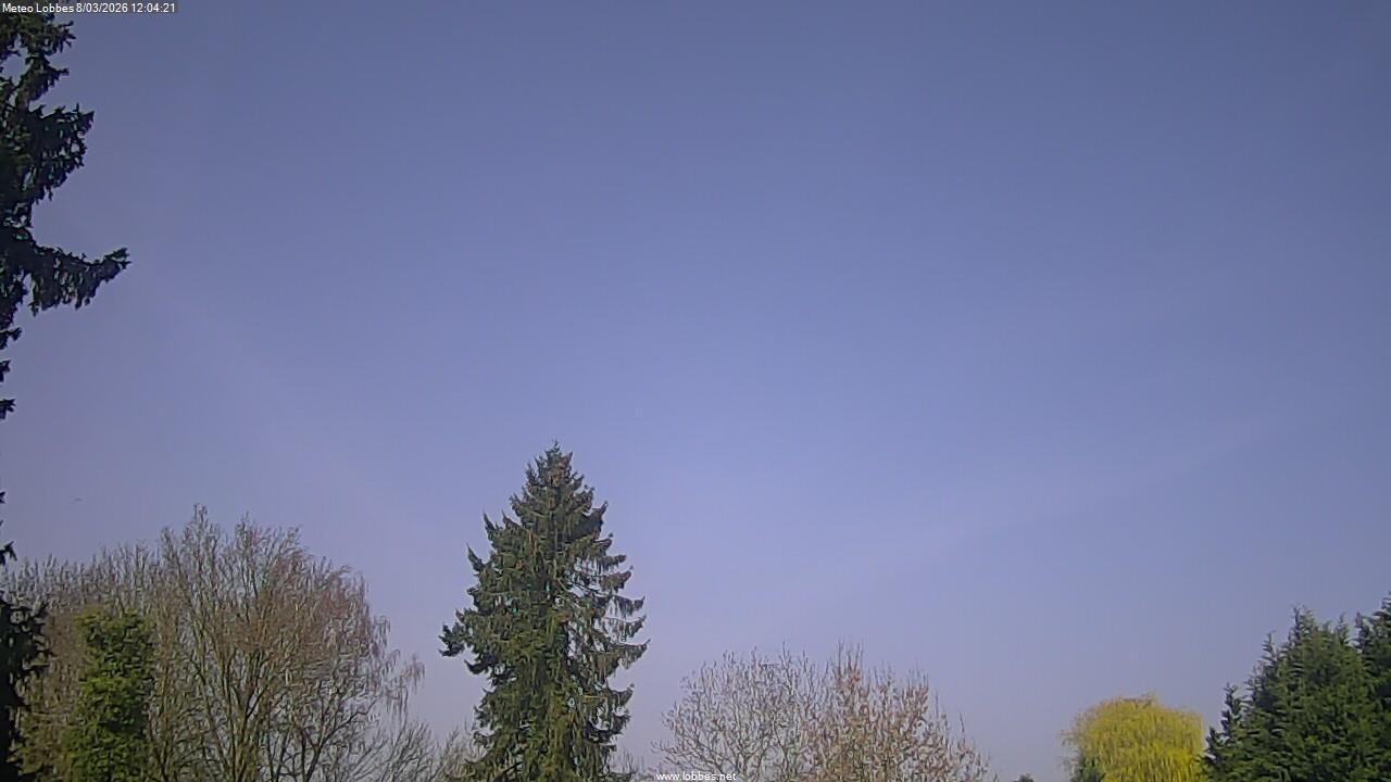 M&eacute;t&eacute;o Lobbes webcam 2026-03-08