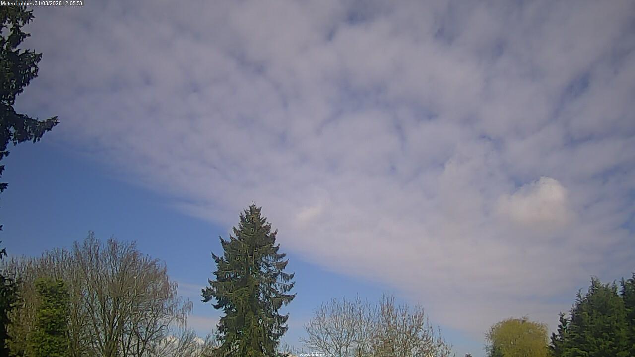 M&eacute;t&eacute;o Lobbes webcam 2026-03-31