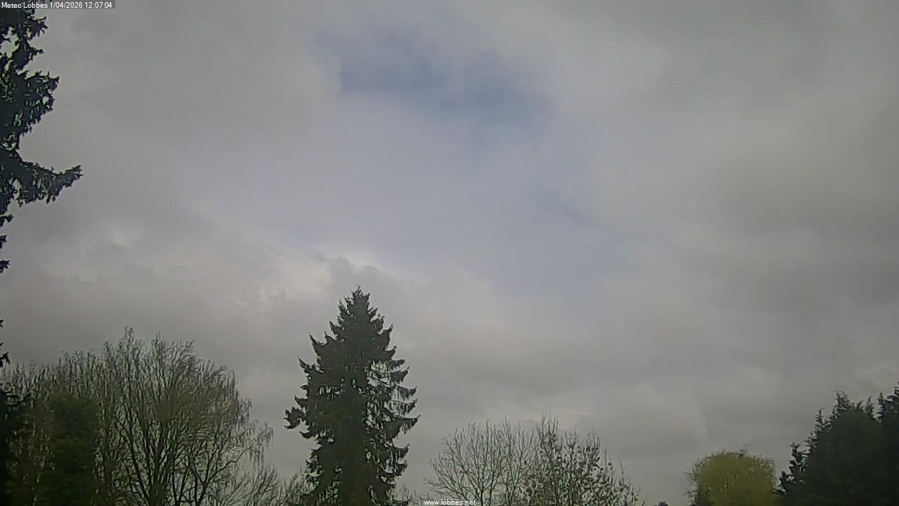 M&eacute;t&eacute;o Lobbes webcam 2026-04-01
