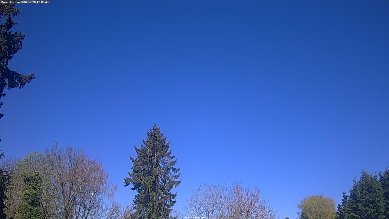 M&eacute;t&eacute;o Lobbes webcam 2026-04-08