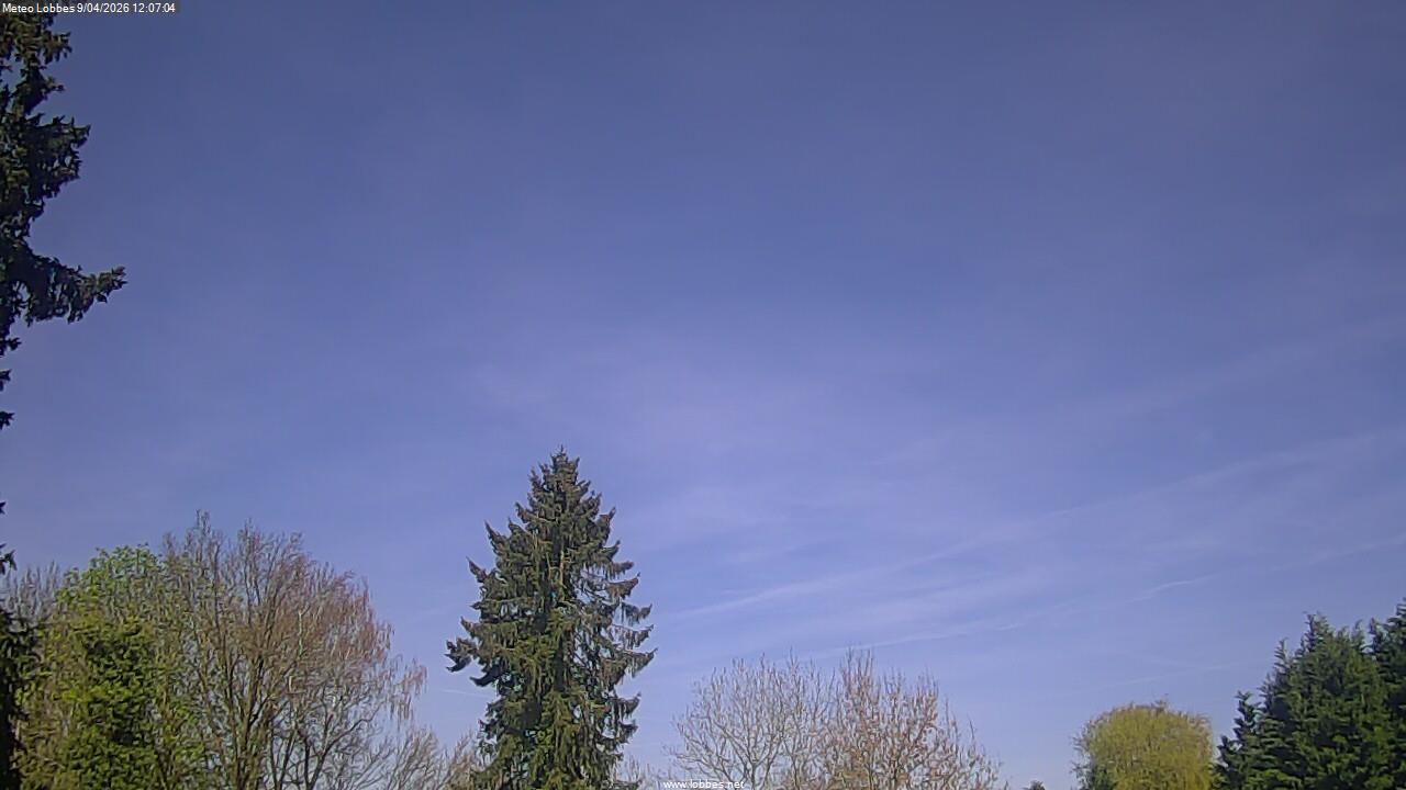 M&eacute;t&eacute;o Lobbes webcam 2026-04-09