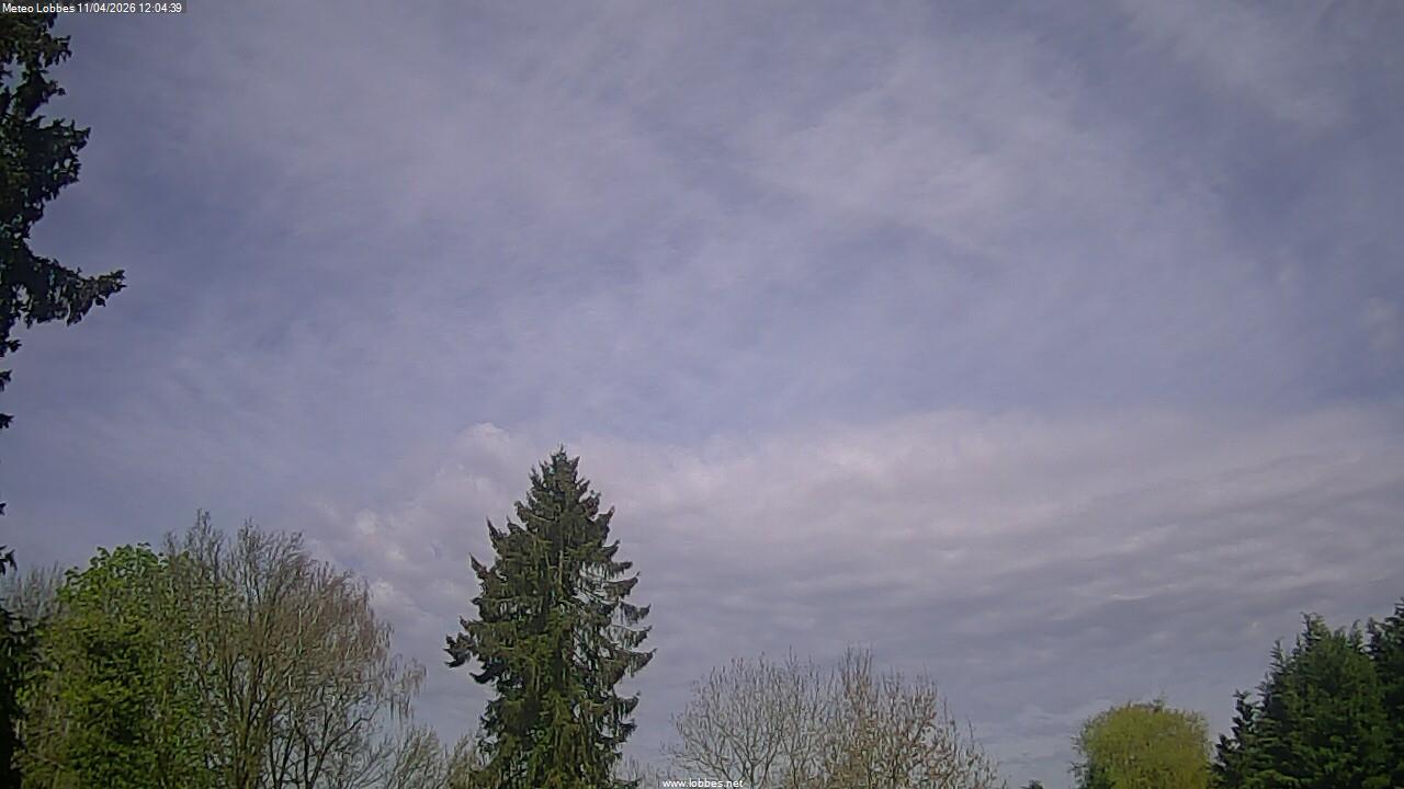 M&eacute;t&eacute;o Lobbes webcam 2026-04-11