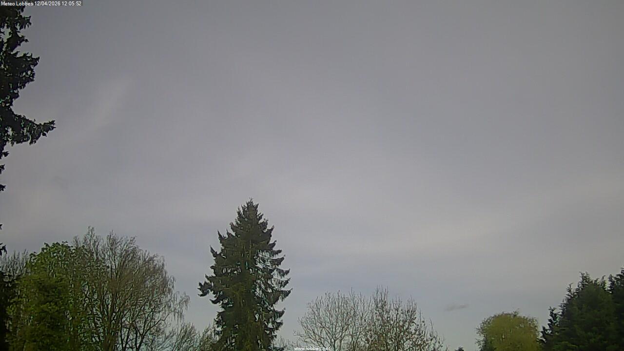 M&eacute;t&eacute;o Lobbes webcam 2026-04-12