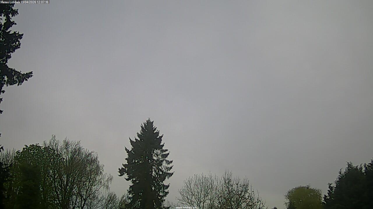 M&eacute;t&eacute;o Lobbes webcam 2026-04-13