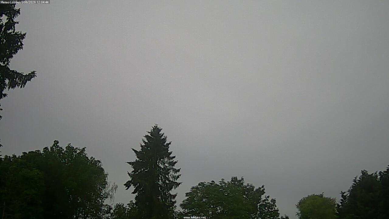 M&eacute;t&eacute;o Lobbes webcam 2026-06-08