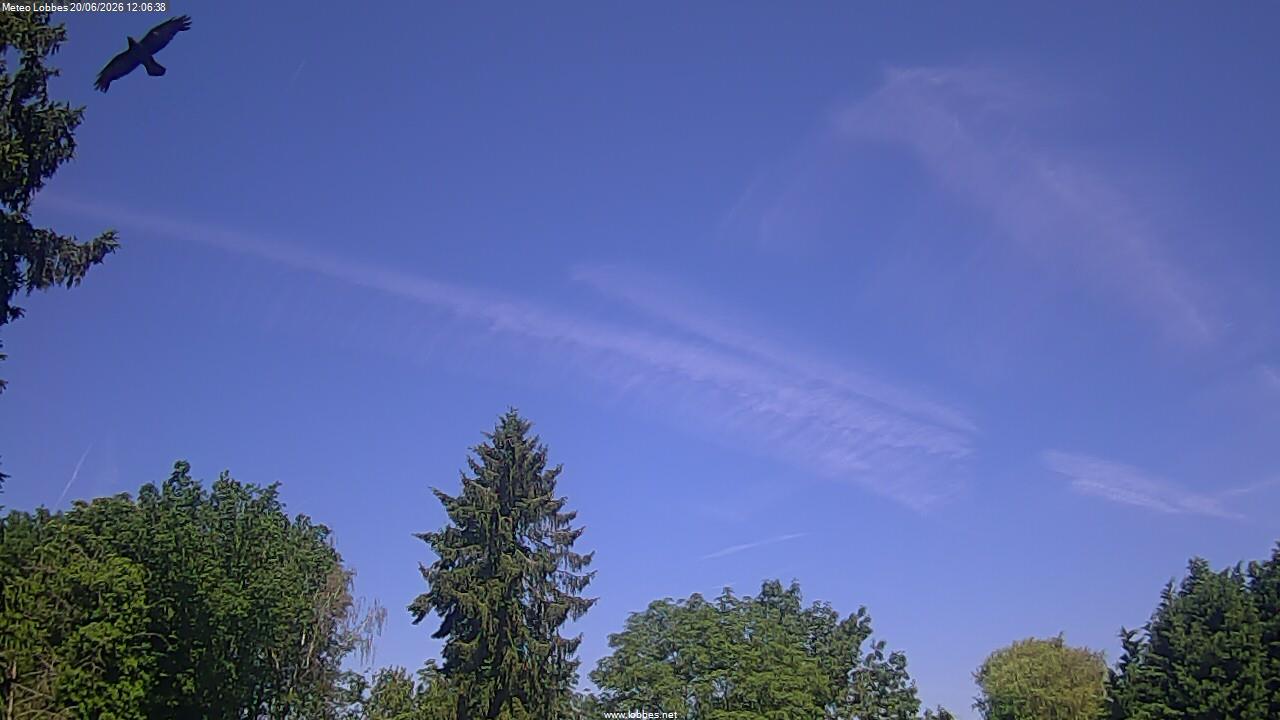 M&eacute;t&eacute;o Lobbes webcam 2026-06-20